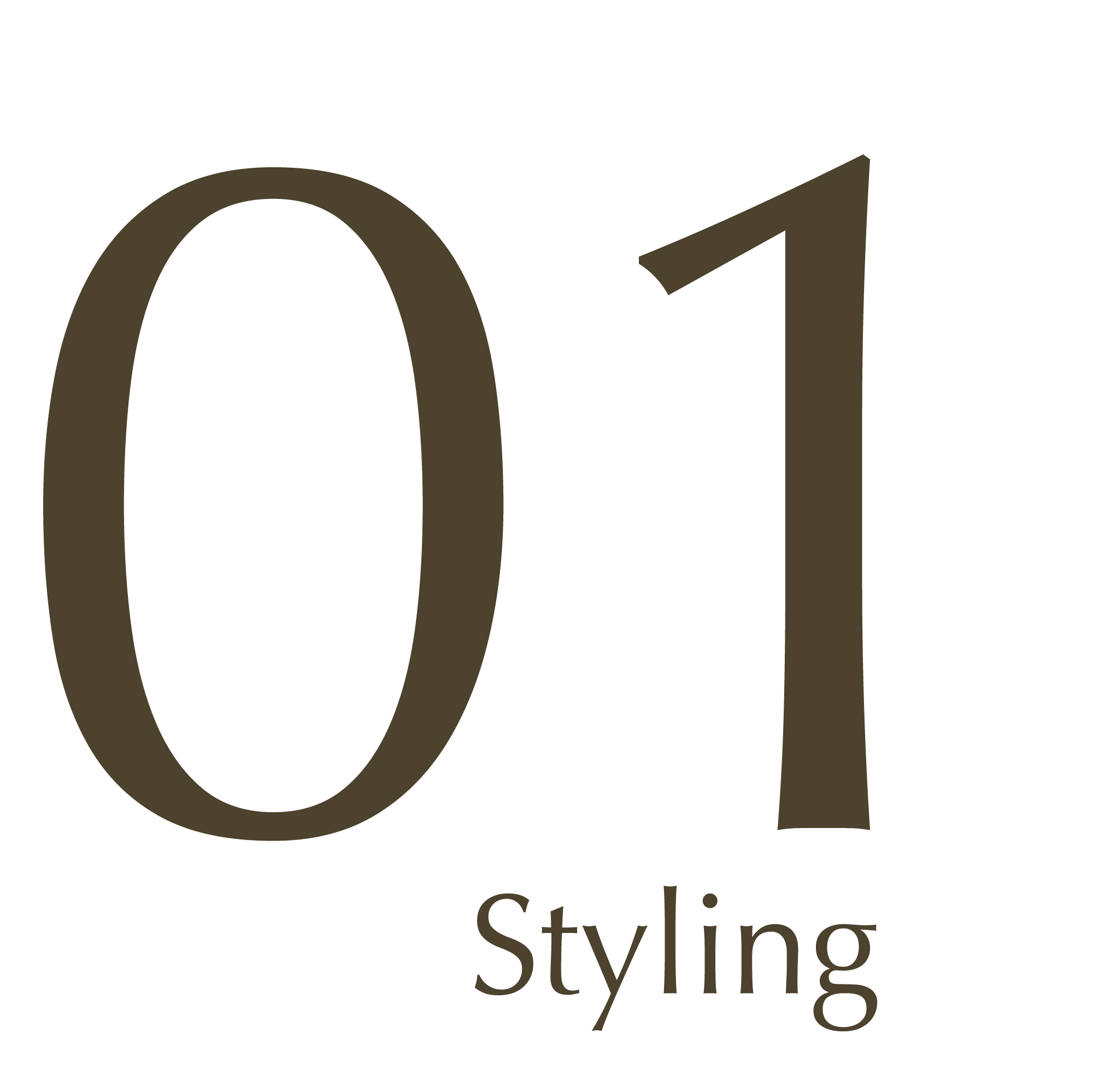 01 styling